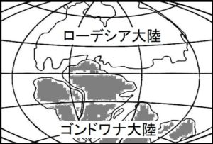 ゴンドワナ大陸